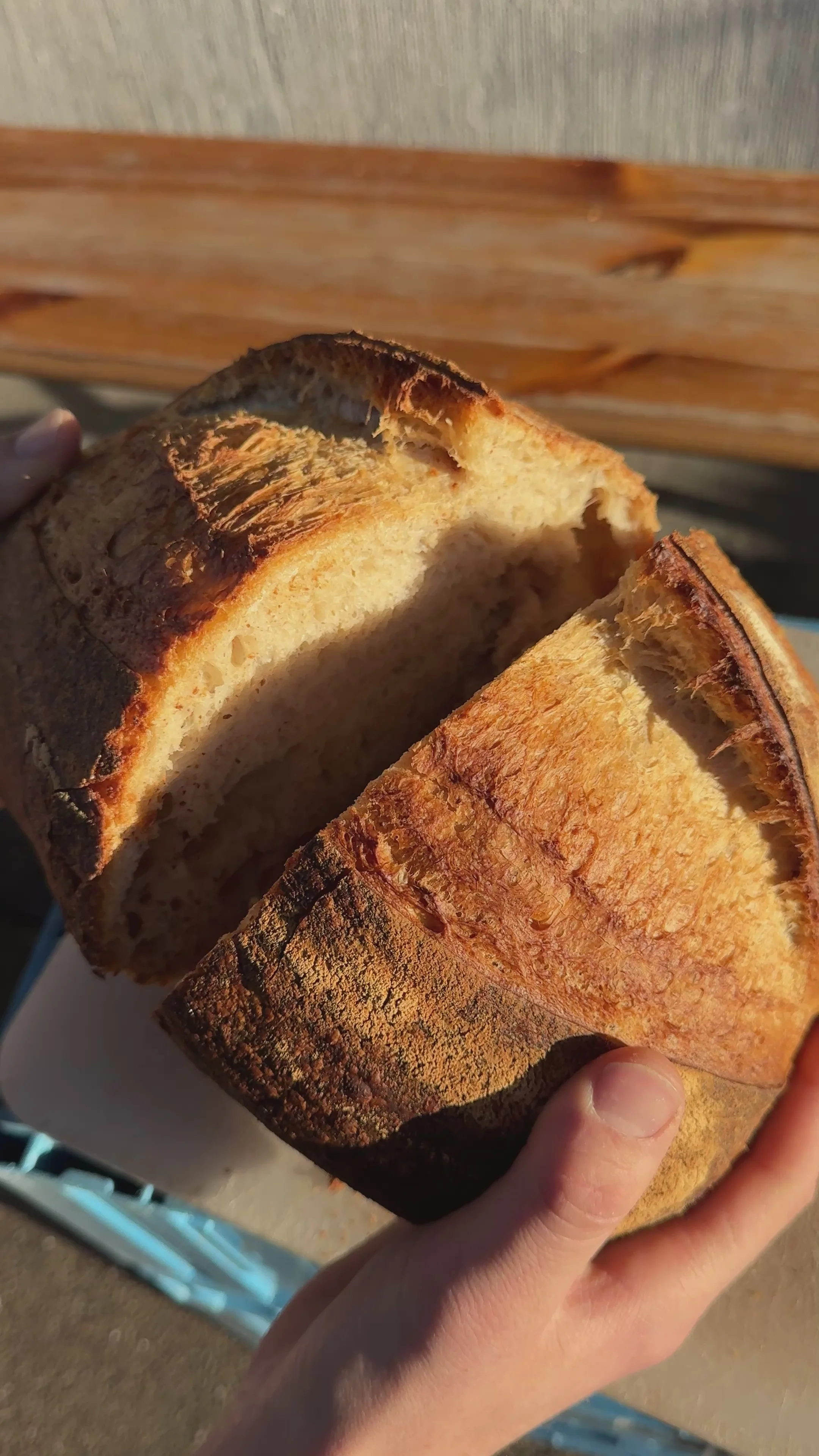 A small sourdough loaf, torn open to show the crumb